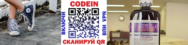 Купить закладки  Нерчинск  Кодеиновый сироп Lean Purple Drank 