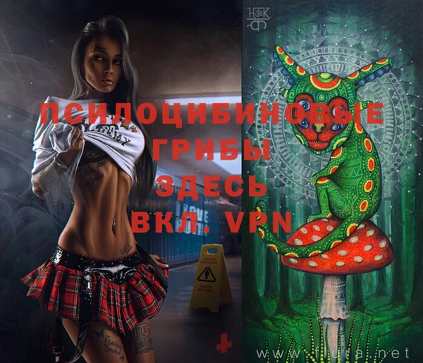 амф Пересвет