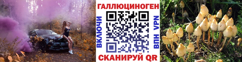 Псилоцибиновые грибы мицелий  Купить где  Нерчинск 