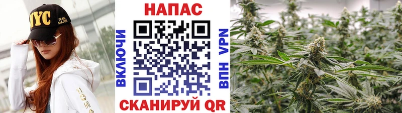 МАРИХУАНА тримм  Купить закладки  Нерчинск 